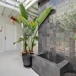 The Comfort House