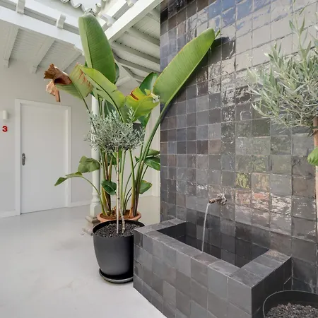 Coliving Pescado Salado