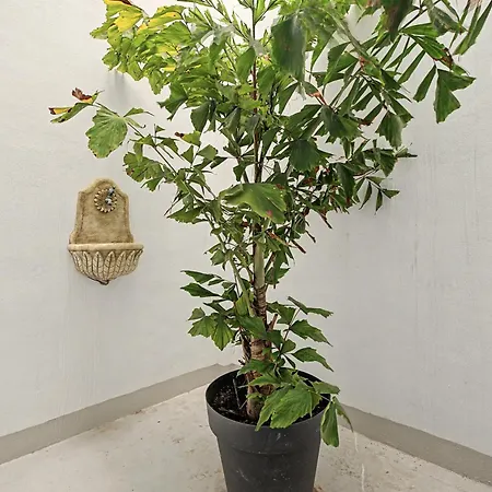 Coliving Pescado Salado Barranco Grande